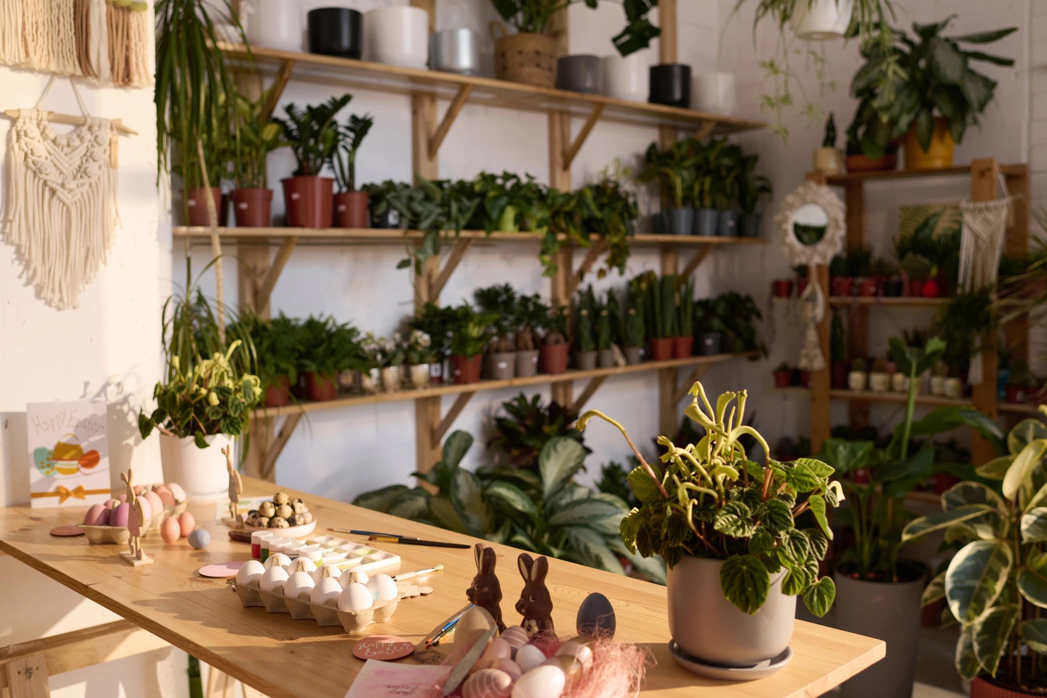Flower shop interior